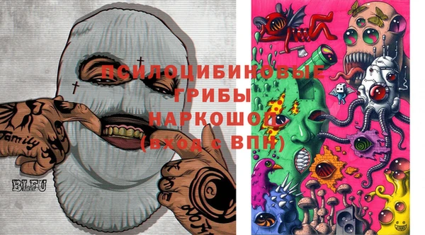 тгк Арсеньев